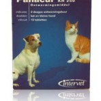 Panacur kleine hond en kat 250 mg per tablet