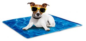 AFP-Chill-Out-Always-Cool-Dog-Mat