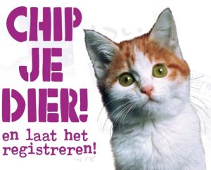 chip-je-dier